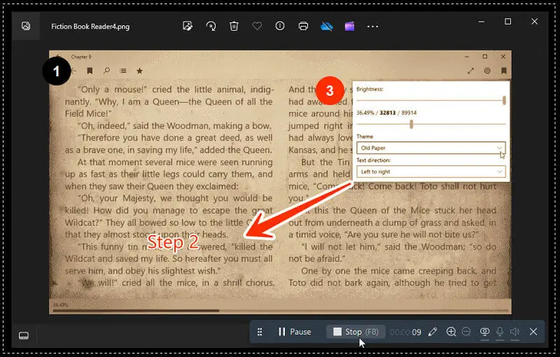 Icecream Screen Recorder 4